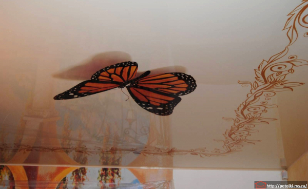 Натяжные потолки с фотопечатью