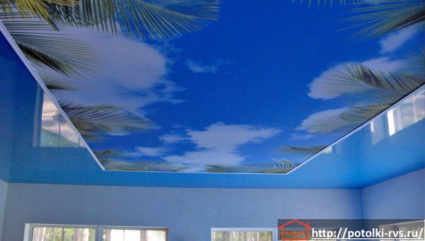 Натяжные потолки с фотопечатью